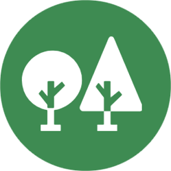 Forestry and Land Use (1)
