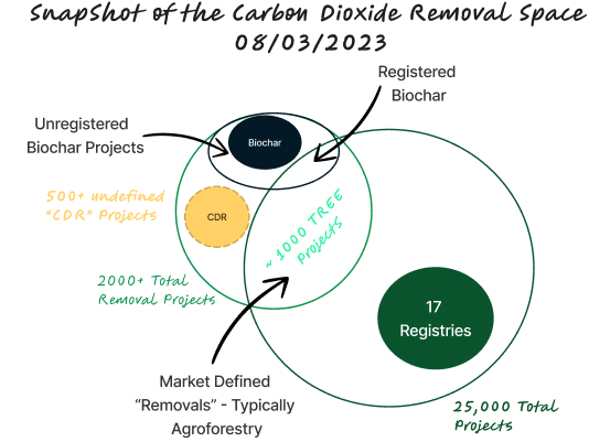 4 Learnings About Scaling CDR in the Voluntary Carbon Market