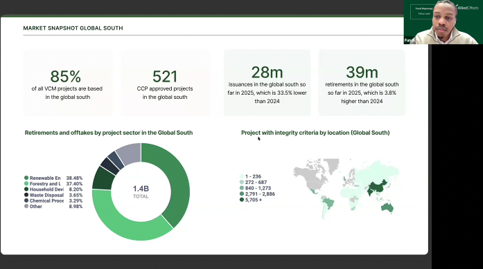 Webinar Q&A: Investment, Risk, and Policy Insights in Carbon Markets across the Global South