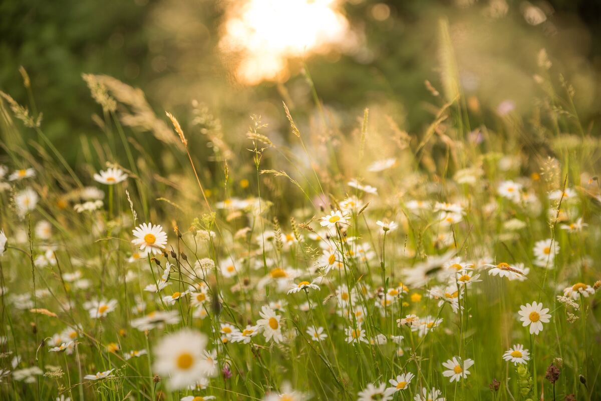 andreas-kretschmer-zUytXs3fusw-unsplash-1