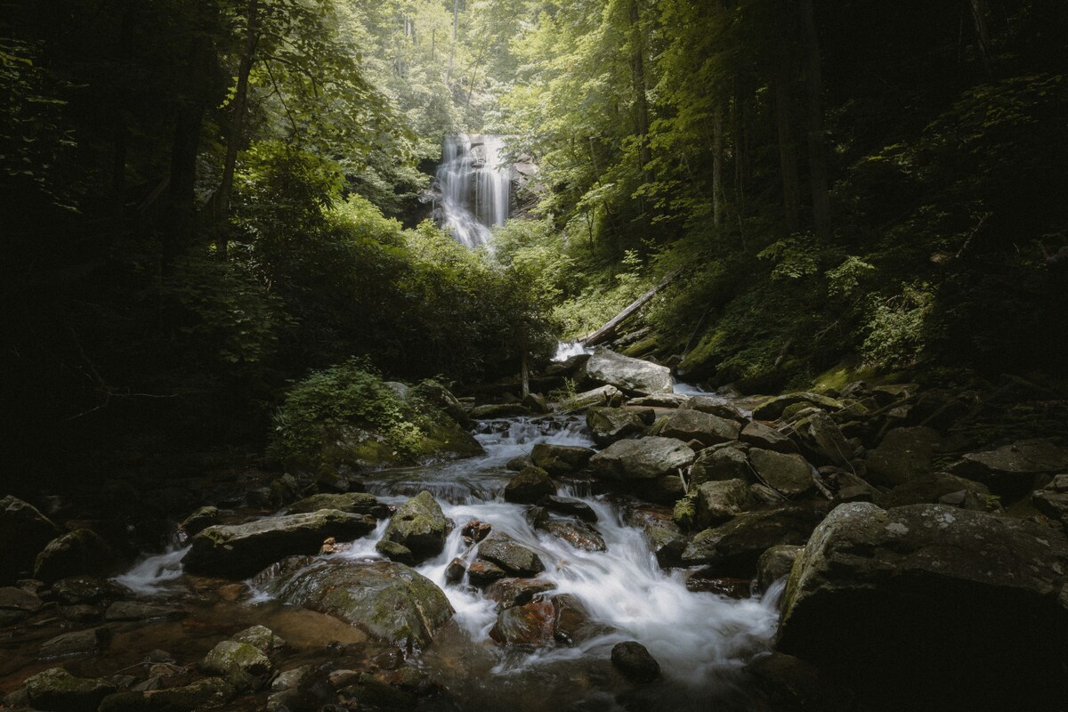 hunter-newton-TWrKDYt-vVM-unsplash (1)-1