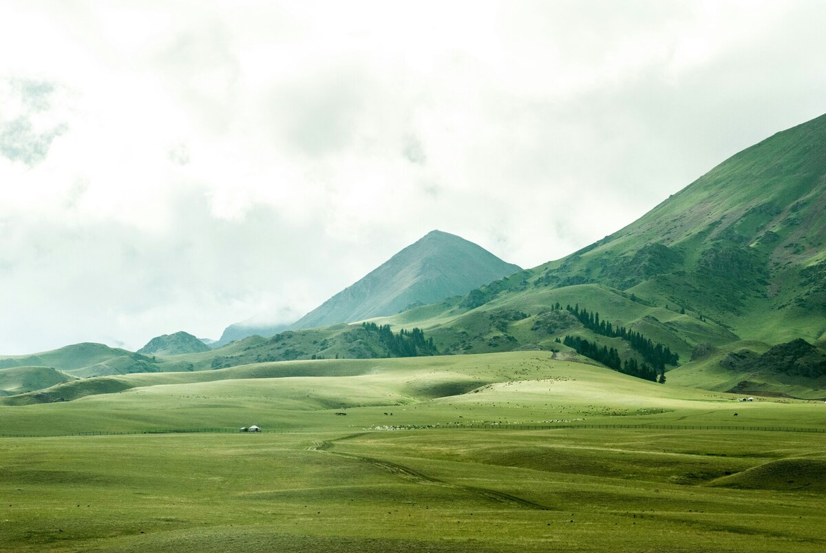 jeremy-cai-ucYWe5mzTMU-unsplash (3)-1-1