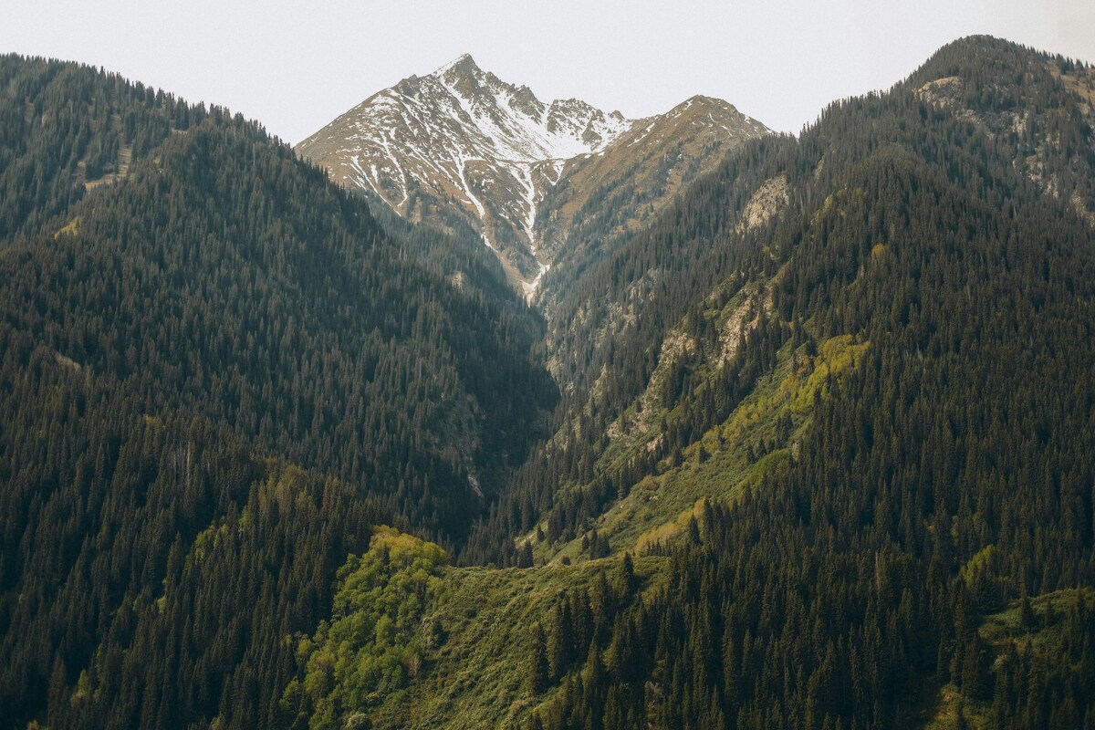 katya-azimova-n72C7Jww1e8-unsplash (1)-1