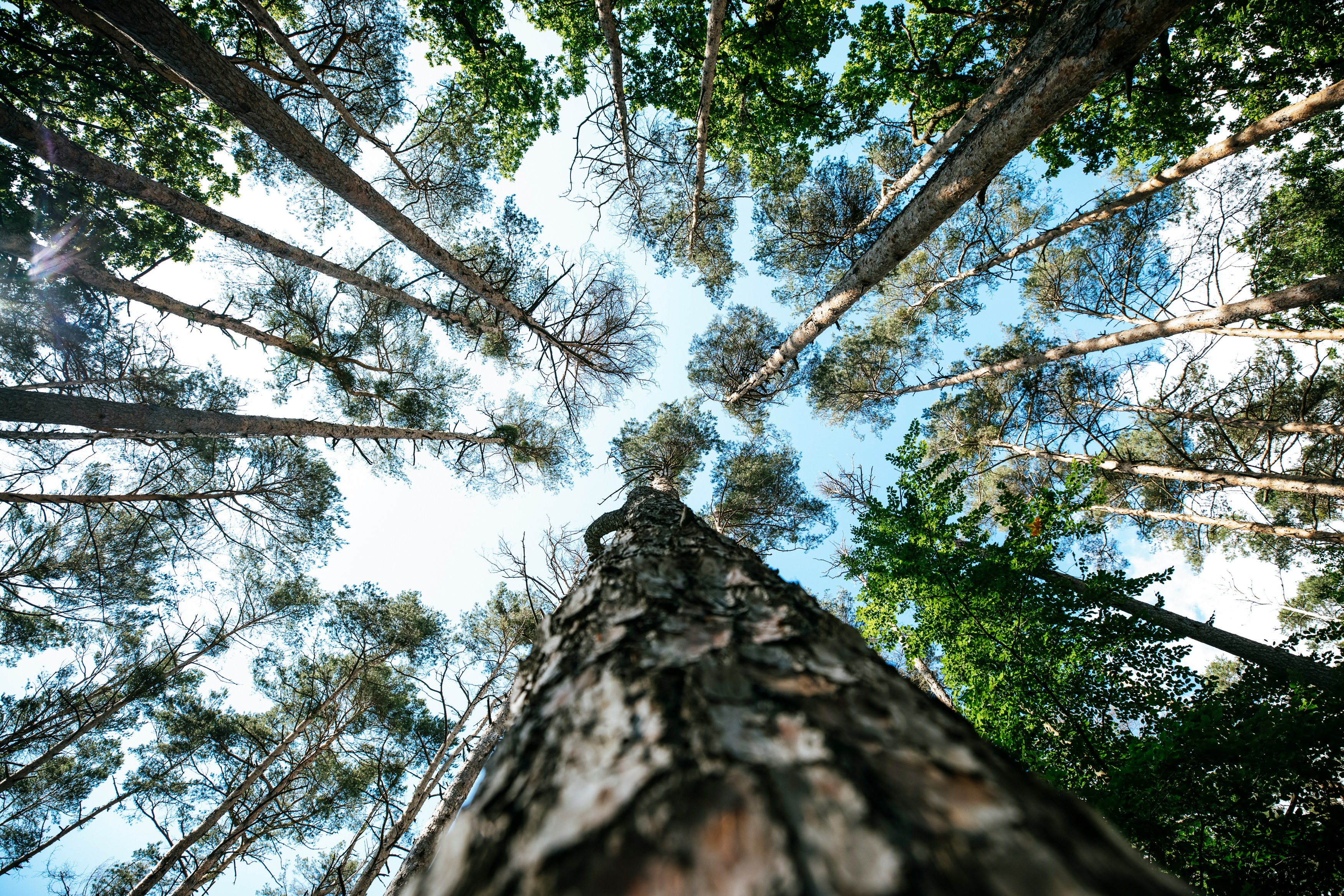 markus-spiske-Y-YaTBtNzKo-unsplash-1