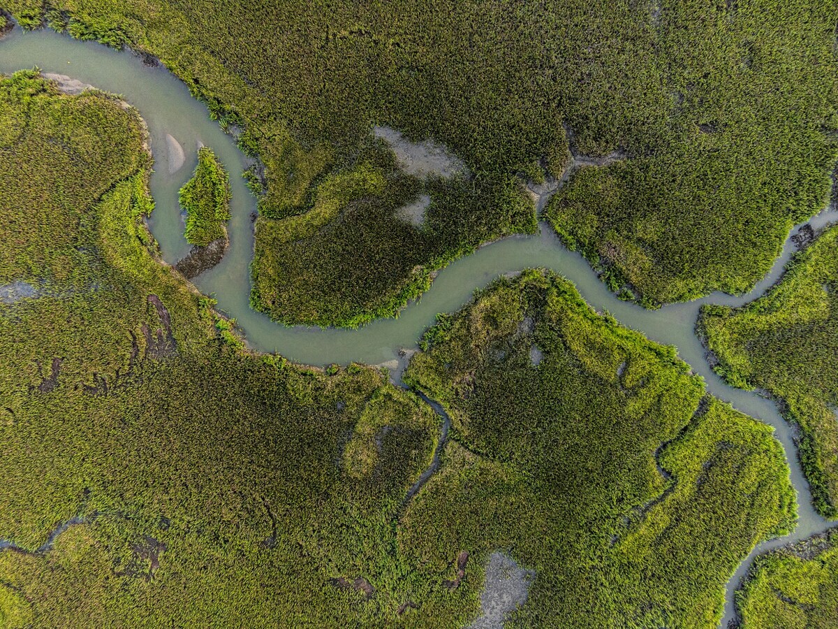 matt-benson-7e6R2UtrRLo-unsplash (1)-1