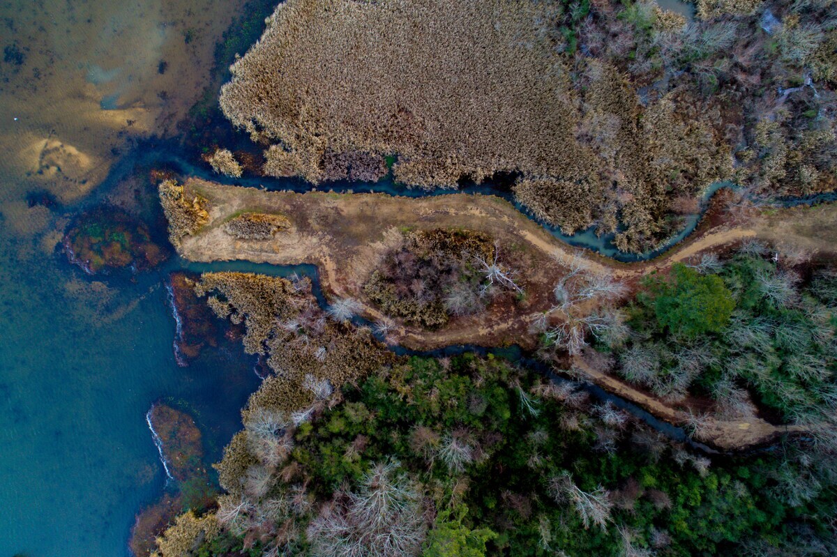 nathan-anderson-abdHA3eHFXs-unsplash (1)-1