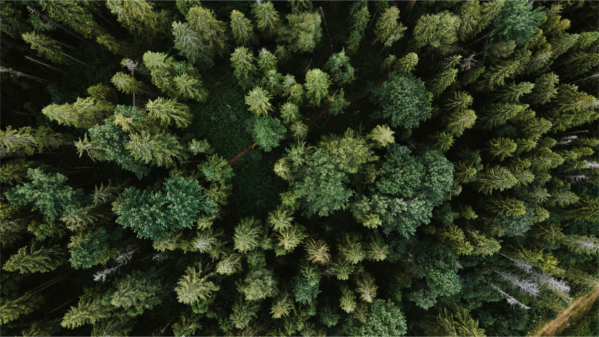olena-bohovyk-3BlVILvh9hM-unsplash 2 (1)-2-1